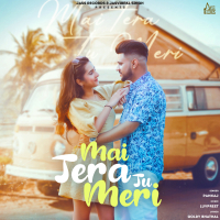 Mai Tera Tu Meri (Single)