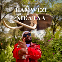 Hamwezi Nikataa (Single)