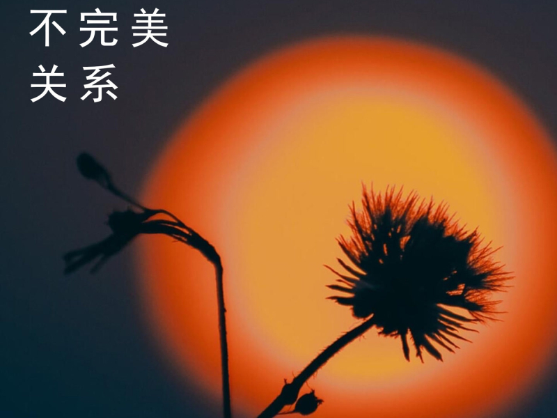 不完美关系 (Single)