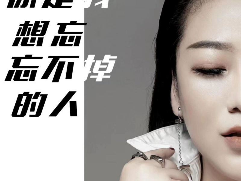 你是我想忘忘不掉的人 (Dj默涵版) (Single)