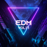 EDM, Vol.17