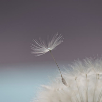 Riding on the Wind (EP)