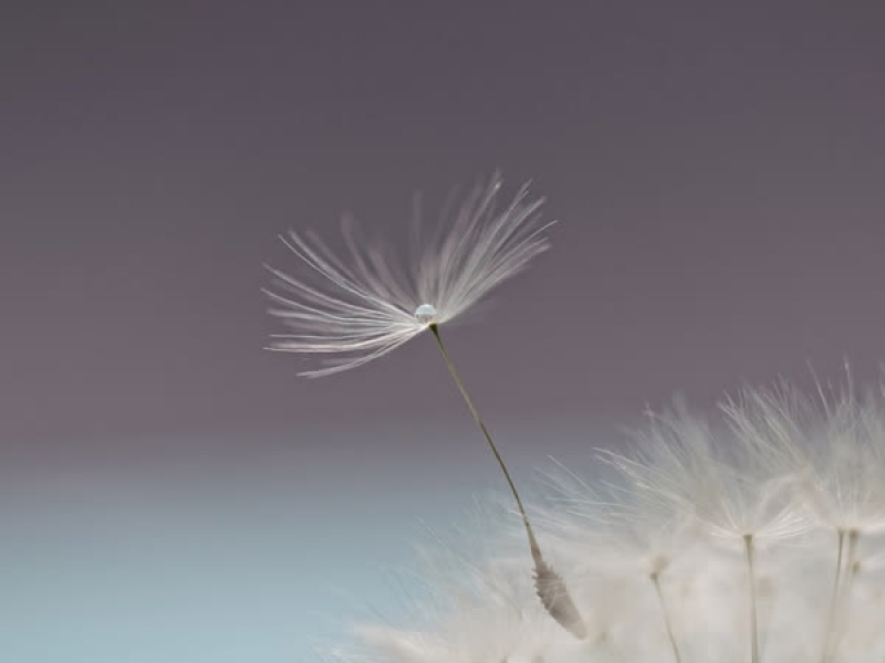 Riding on the Wind (EP)