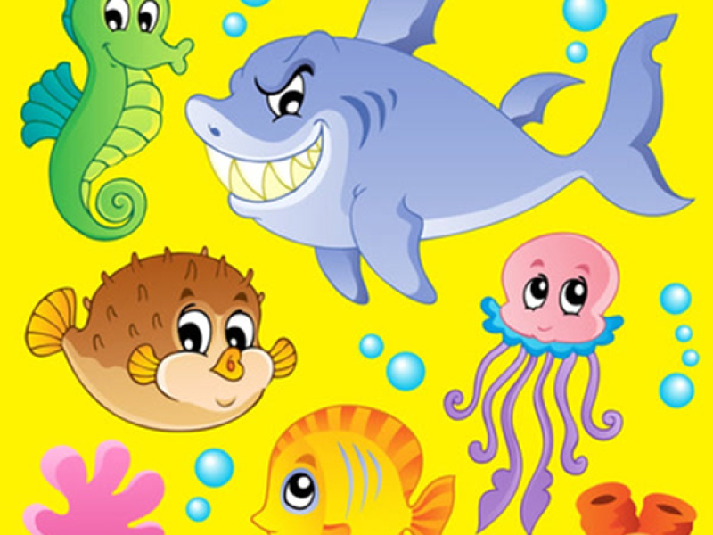 바다 물고기 (Single)