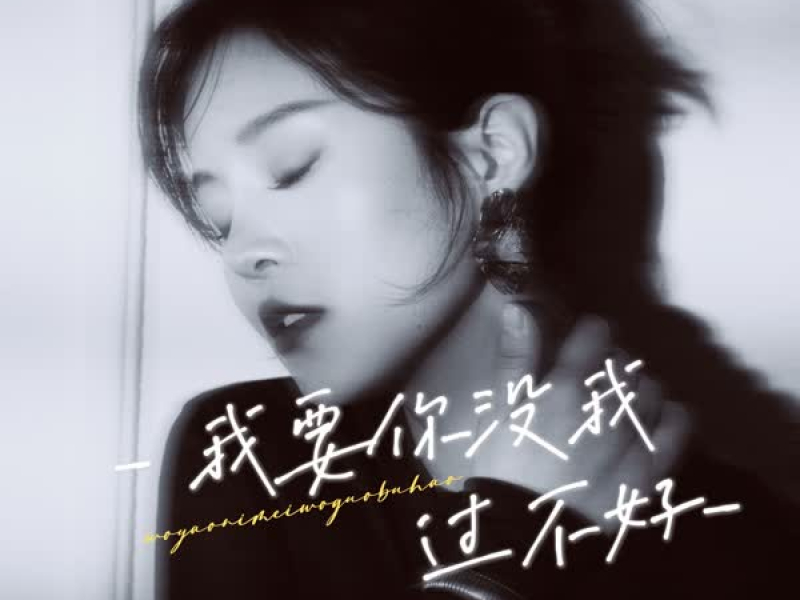 我要你没我过不好 (Single)