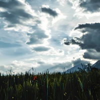 Gallowdance (Hardstyle) (Single)