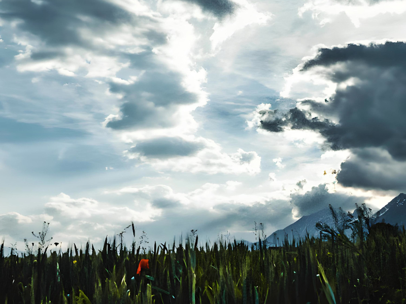 Gallowdance (Hardstyle) (Single)