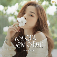 Tối Qua Em Ở Đâu (Single)