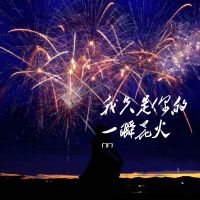 我只是你的一瞬花火 (Single)