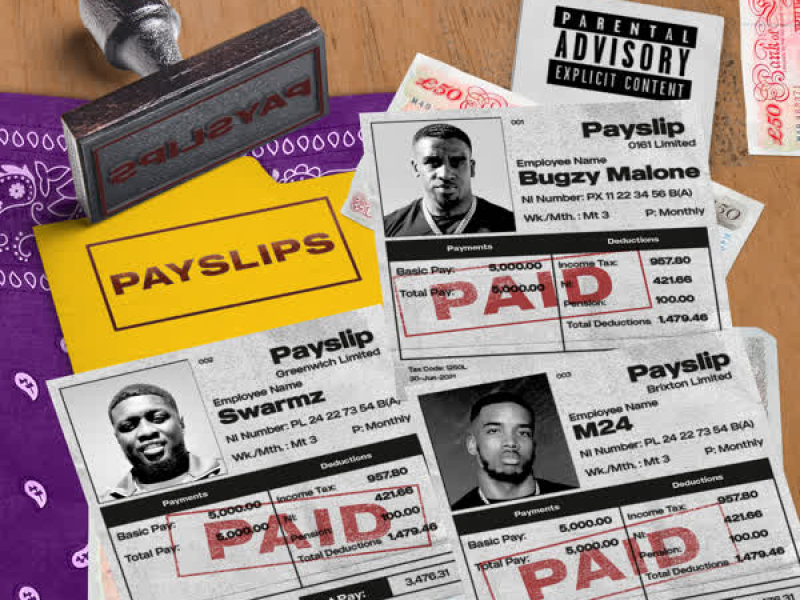 Payslips (Single)