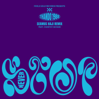 Never Stop (Seamus Haji Remix) (EP)