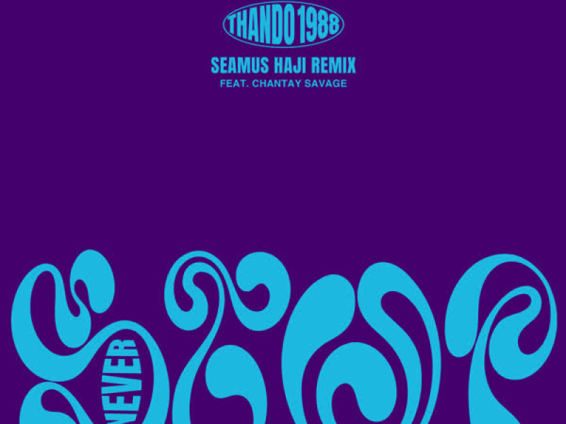 Never Stop (Seamus Haji Remix) (EP)