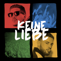 Keine Liebe (Single)