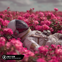 Take It Slow (Single)