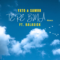 Tere Bina (Remix) (Single)