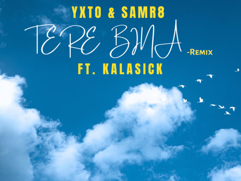 Tere Bina (Remix) (Single)