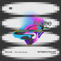 Aydee (Funk Tribu Remix) (Single)