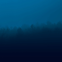 silent dharma (Single)