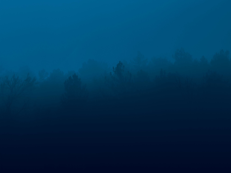 silent dharma (Single)