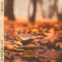Morning Walk (Single)