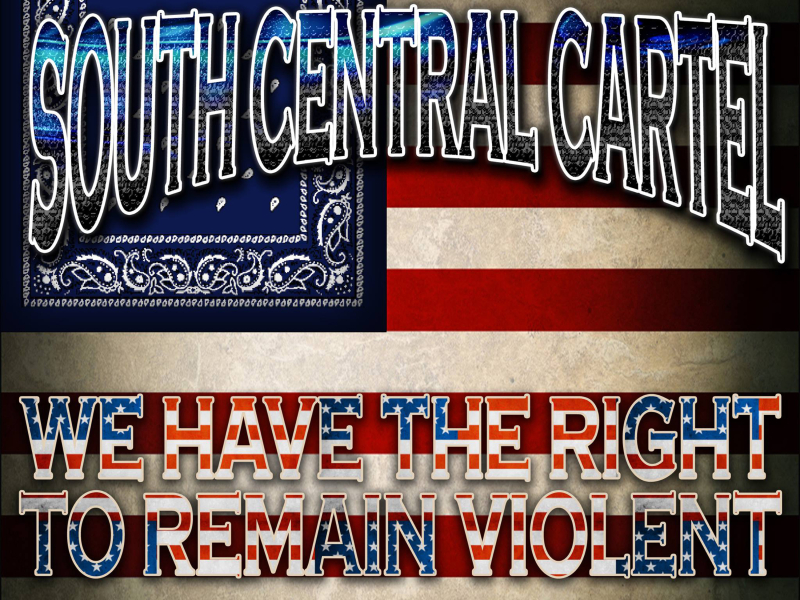 We Have the Right to Remain Violent
