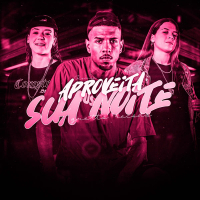 APROVEITA SUA NOITE (Remix) (Single)