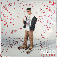 Falso Alarme (Single)