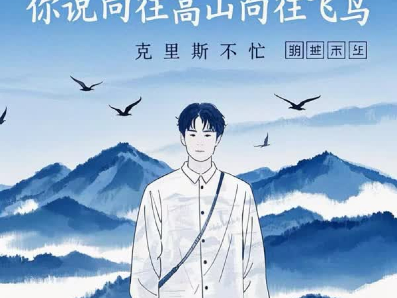 你说向往高山向往飞鸟 (Single)