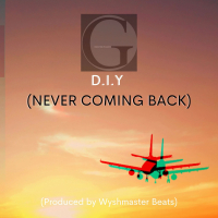 D.I.Y (Never Coming Back) (Single)