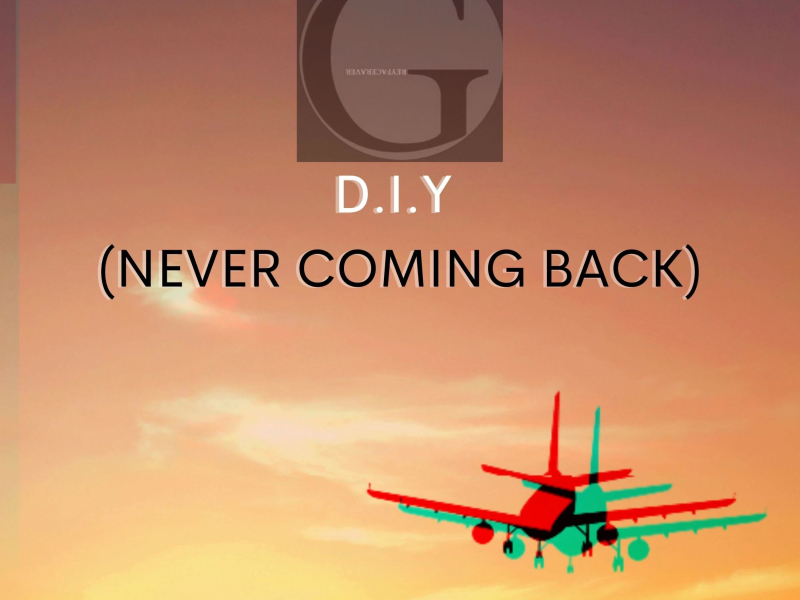 D.I.Y (Never Coming Back) (Single)