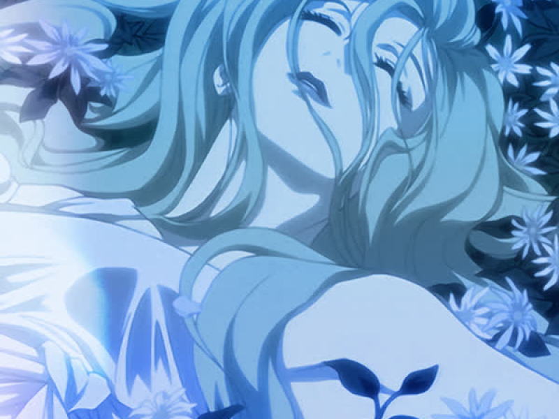 butterfly kisses (slowed + speed up) (EP)