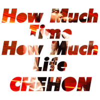 How Much Time How Much Life (Single)