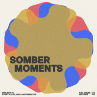 Somber Moments (Single)