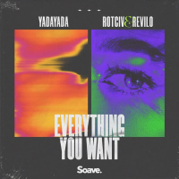 Everything You Want (Single)