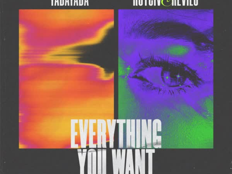 Everything You Want (Single)