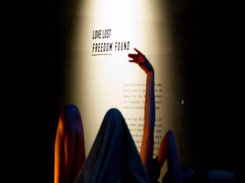 Love Lost Freedom Found (Single)