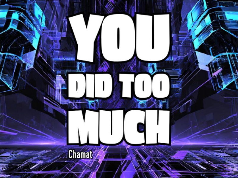 You Did Too Much (Single)
