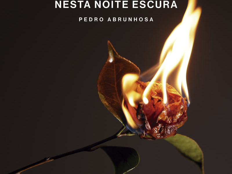 Que O Amor Te Salve Nesta Noite Escura (Single)