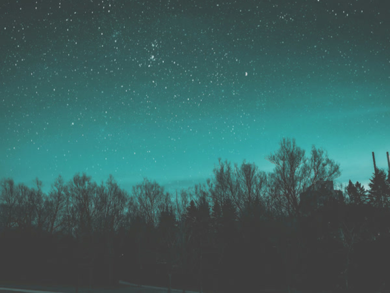 Transmissions (Single)