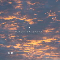 Wings of Trust (Single)