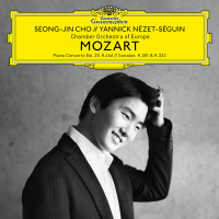 Mozart: Piano Sonata No. 3 in B-Flat Major, K. 281: 2. Andante amoroso (Single)