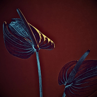 sunny cloudy (Single)