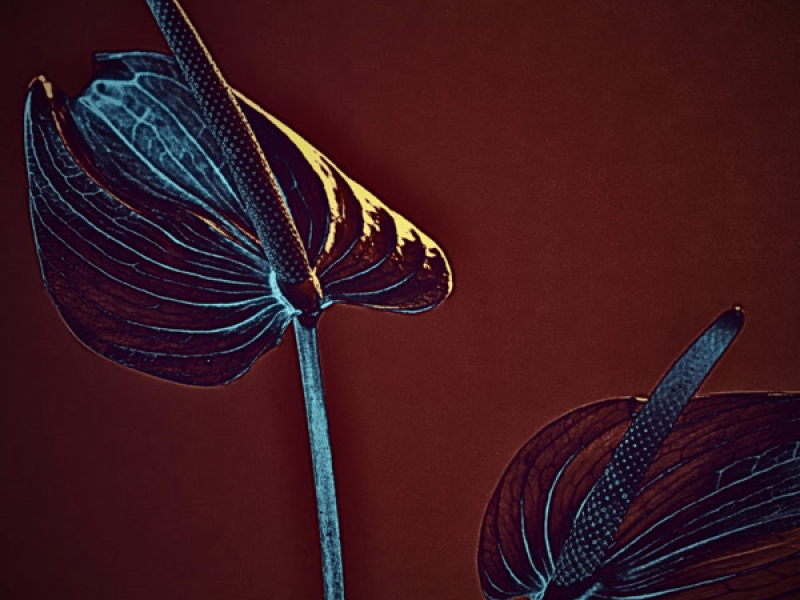 sunny cloudy (Single)