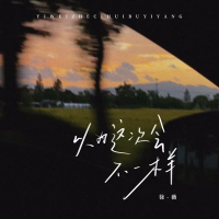 以为这次会不一样 (Single)