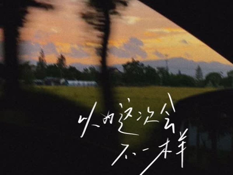 以为这次会不一样 (Single)