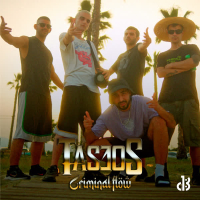 Criminal Flow (Single)