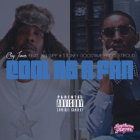 Cool As A Fan (feat. Big Gipp & Stoney Goodtime)