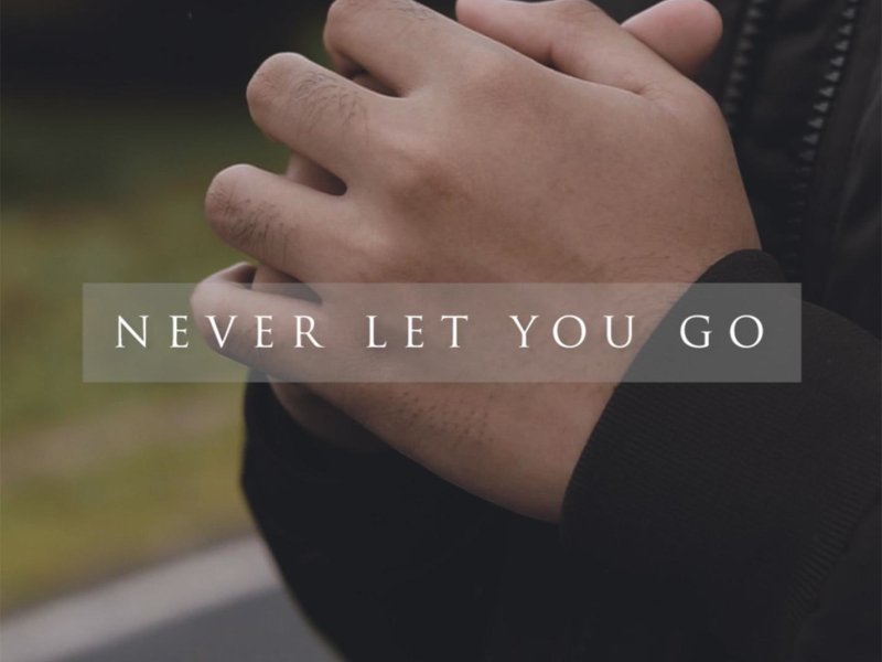Never Let You Go (feat. Nuca) (Single)