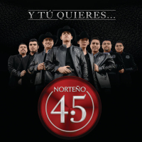 Y Tú Quieres (Single)