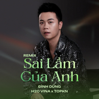 Sai Lầm Của Anh (Remix) (Single)